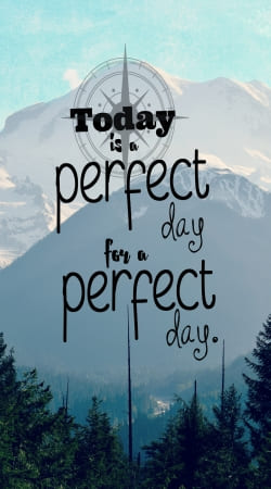 cover A Perfect Day