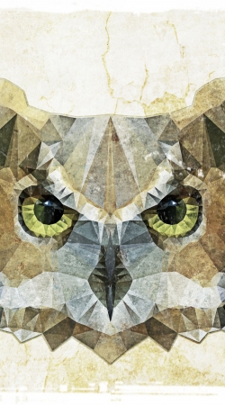cover abstract owl