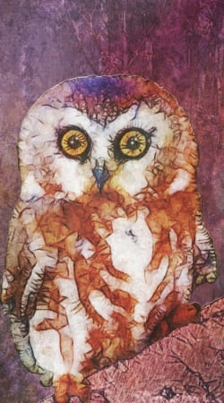 cover abstract cute owl