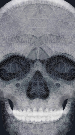 cover abstract skull