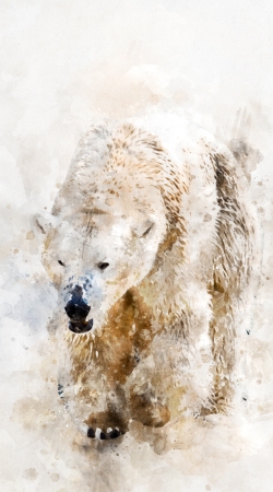 cover Abstract watercolor polar bear