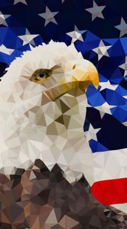 cover American Eagle and Flag