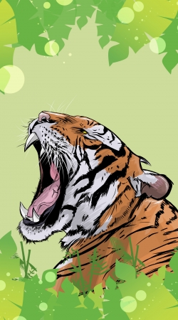 cover Animals Collection: Tiger 