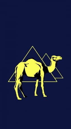 cover Arabian Camel (Dromedary)