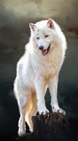 cover Arctic wolf
