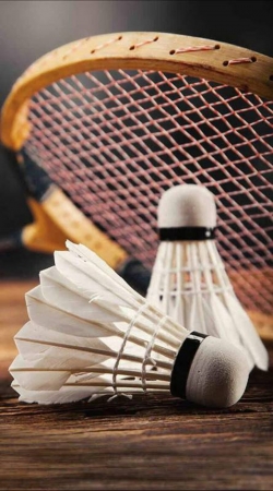cover Badminton Champion
