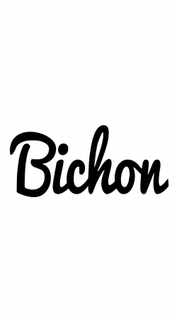 cover Bichon