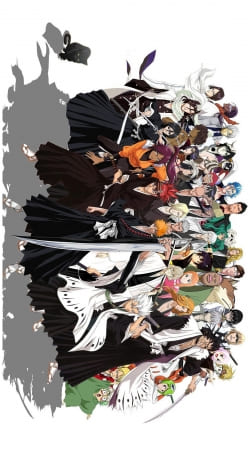cover Bleach All characters