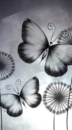 cover Butterflies Dandelion