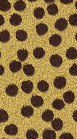 cover Cheetah Fur