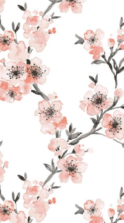 cover Cherry Blossom Aquarel Flower