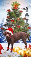 cover Christmas dog