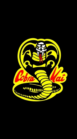 cover Cobra Kai