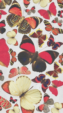 cover Come with me butterflies