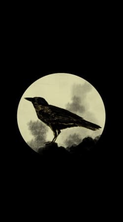 cover Crow