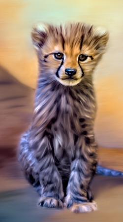 cover Cute cheetah cub