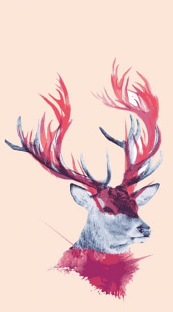 cover Deer paint