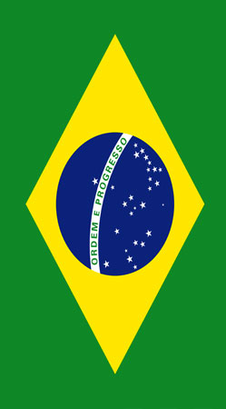 cover Flag Brasil