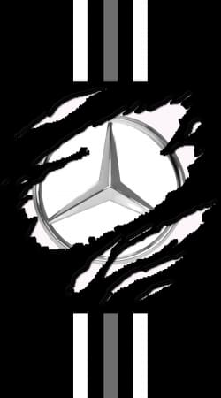 cover Fan Driver Mercedes GriffeSport