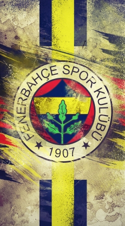 cover Fenerbahce Football club