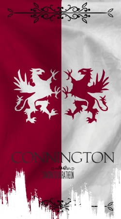 cover Flag House Connington