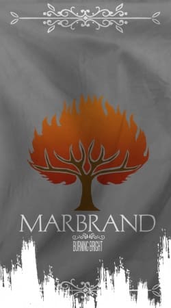 cover Flag House Marbrand