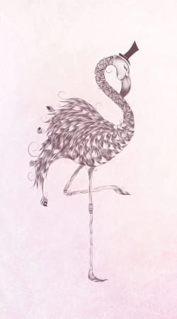 cover Flamingo