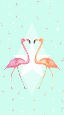 cover FLAMINGO PARTY