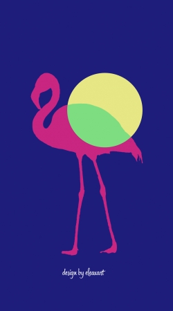 cover FlamingoPOP