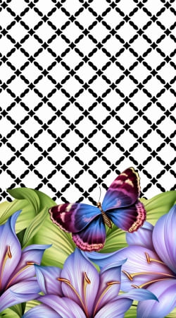 cover flower power Butterfly