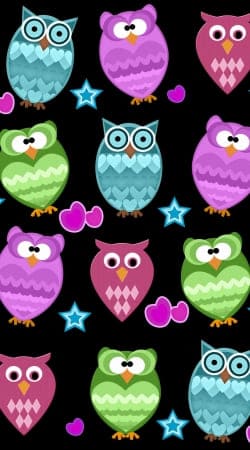 cover funky owls