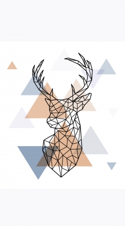 cover Geometric head of the deer