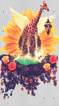cover Giraf Flowers