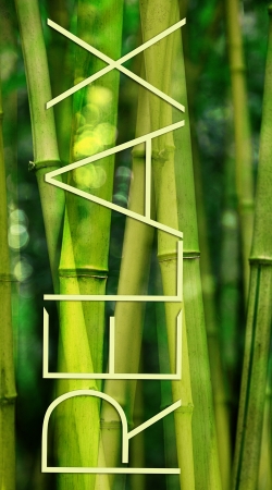 cover green bamboo