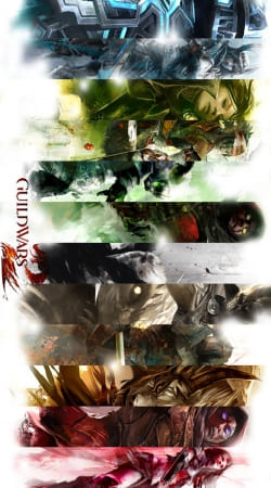 cover Guild Wars 2 All classes art