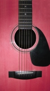 cover Pink Guitar