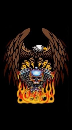 cover Harley Davidson Skull Engine