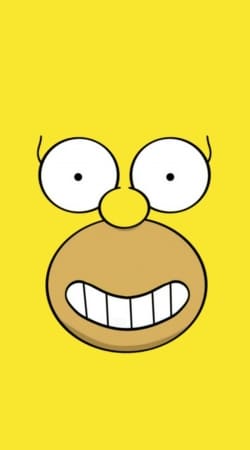 cover Homer Face