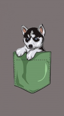 cover Husky Dog in the pocket