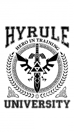 cover Hyrule University Hero in trainning