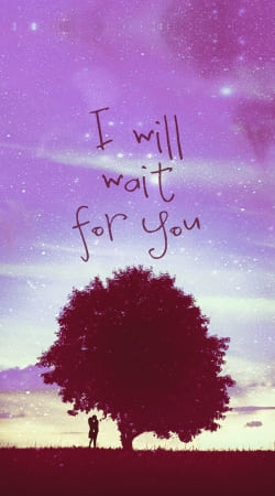 cover I Will Wait for You