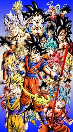 cover Kakarot Goku Evolution