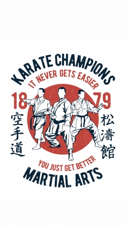 cover Karate Champions Martial Arts