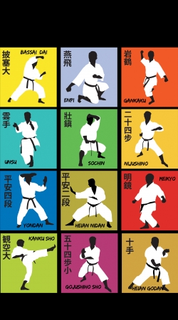 cover Karate techniques