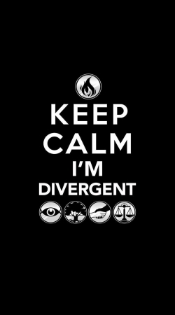 cover Keep Calm Divergent Faction