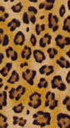 cover Leopard