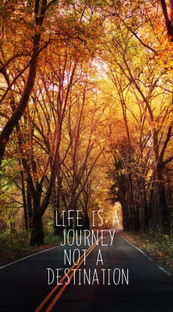 cover life is a journey