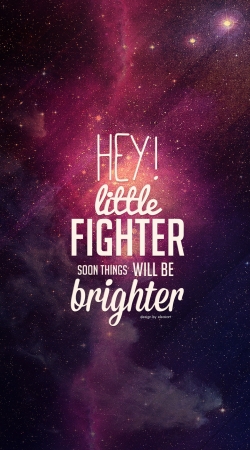 cover Little Fighter