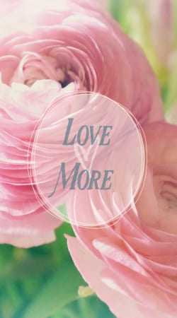 cover Love More