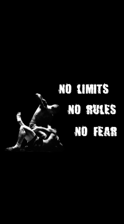 cover MMA No Limits No Rules No Fear